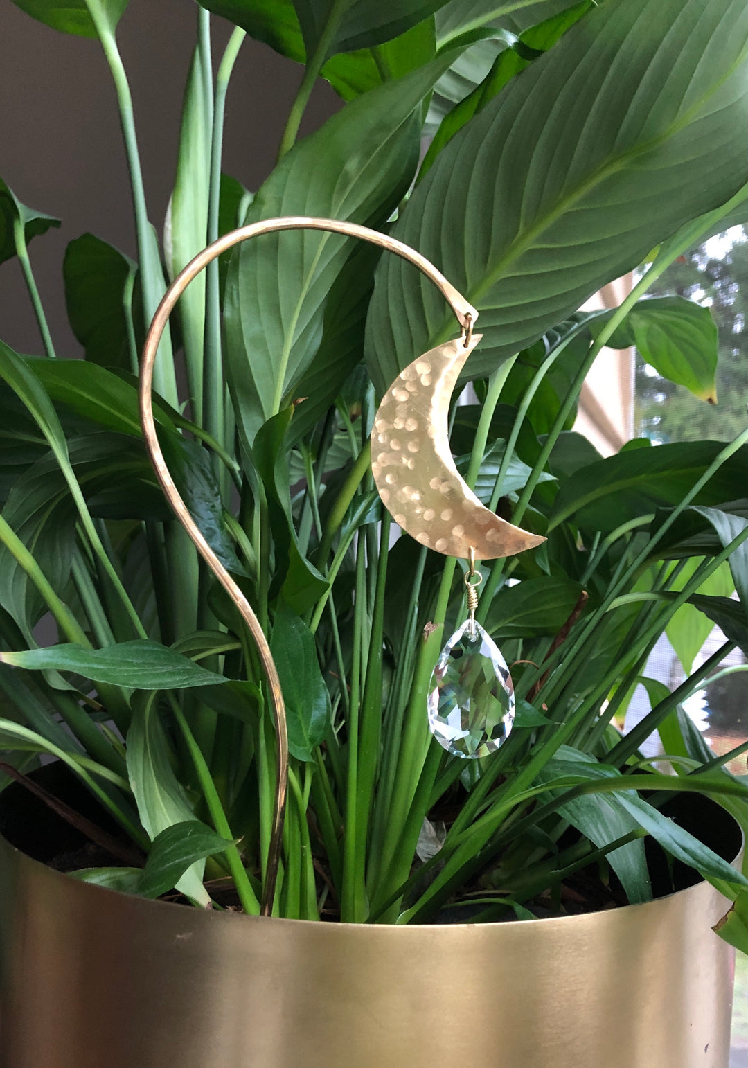 Planty Suncatcher Stick- Luna