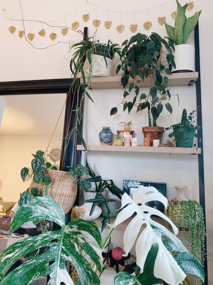 Monstera Hammered Brass Garland